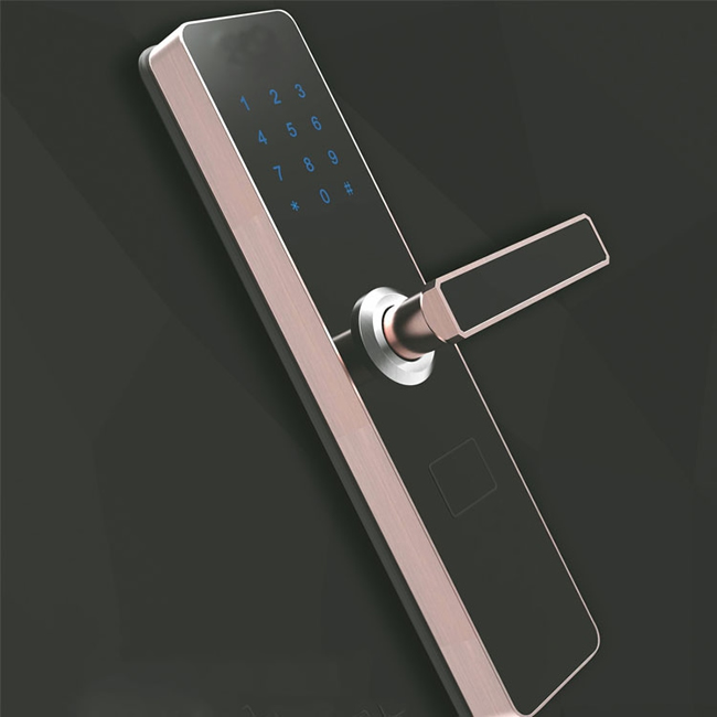 百思盾指紋鎖 辦公寫字樓智能感應(yīng)卡鎖 家用智能密碼鎖