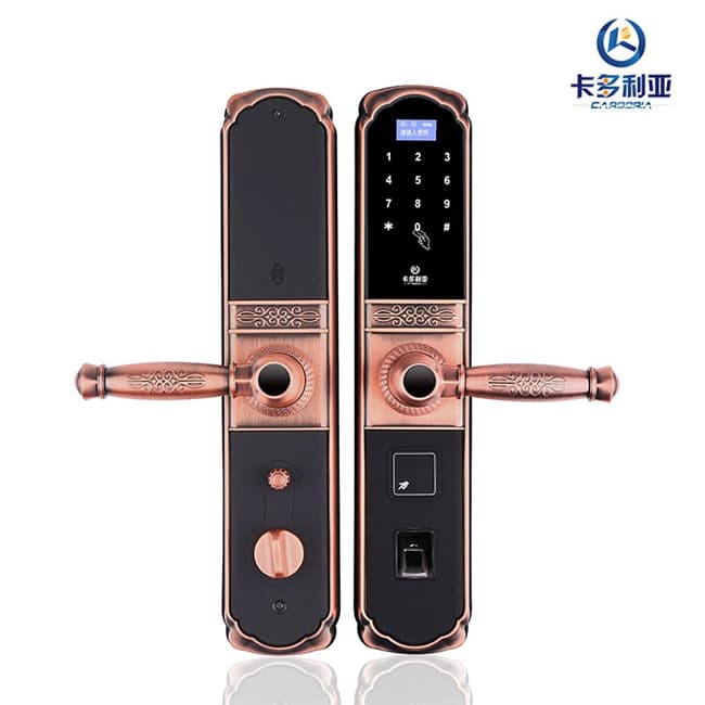 卡多利亞指紋鎖 家用電子鎖防盜門鎖 云智能門鎖磁卡鎖