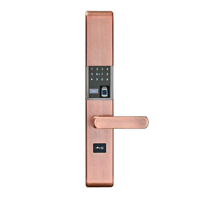 帥榮智能鎖 不銹鋼指紋識(shí)別鎖 電子感應(yīng)密碼鎖