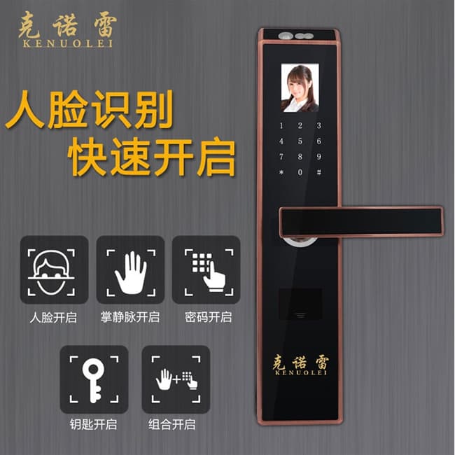 克諾雷智能鎖 全自動(dòng)人臉識(shí)別鎖 家用防盜密碼鎖