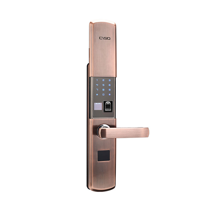 西巢滑蓋智能鎖 RSDXC-DS511 高檔小區(qū)指紋鎖