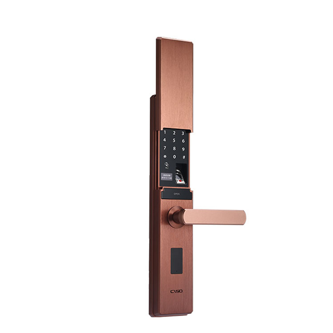 西巢電動滑蓋指紋鎖 RSDXC-QS650 電子密碼門鎖