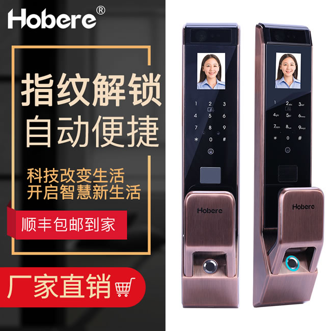 弘博匯指紋鎖 D10人臉識別鎖指紋密碼鎖