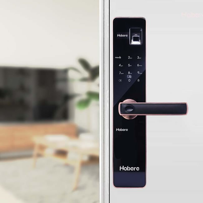 弘博匯指紋鎖 C8家用指紋鎖電子鎖