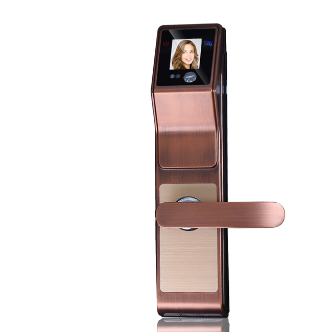 浩宇興智能鎖 人臉識(shí)別鎖掃臉門鎖密碼鎖刷卡鎖智能鎖