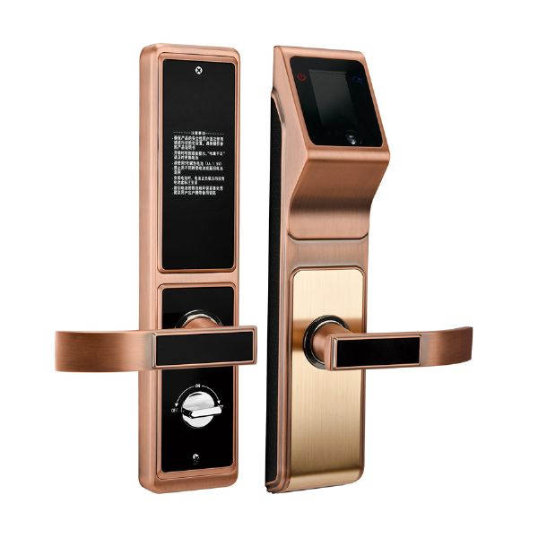 帝門智能鎖 DM-9988紅古銅人臉識(shí)別智能鎖