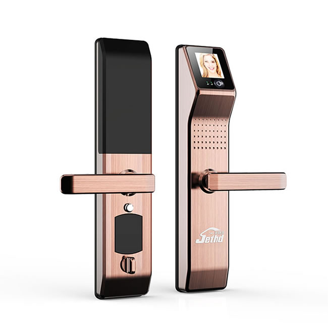 吉斯盾智能鎖 LZ-R100面部識別掌紋識別紅外智能鎖