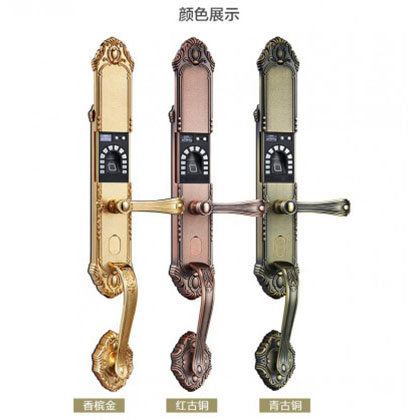 中霸智能鎖 B57指紋密碼鎖 別墅門防盜智能鎖