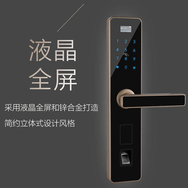 逢科智能指紋鎖  家用防盜遠程F-3004