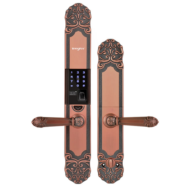 騰飛指紋鎖 歐式防盜門鎖智能密碼鎖