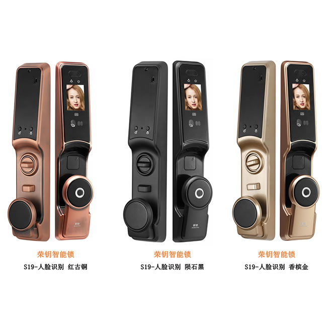 榮鑰指紋鎖 S19全自動人臉識別智能鎖