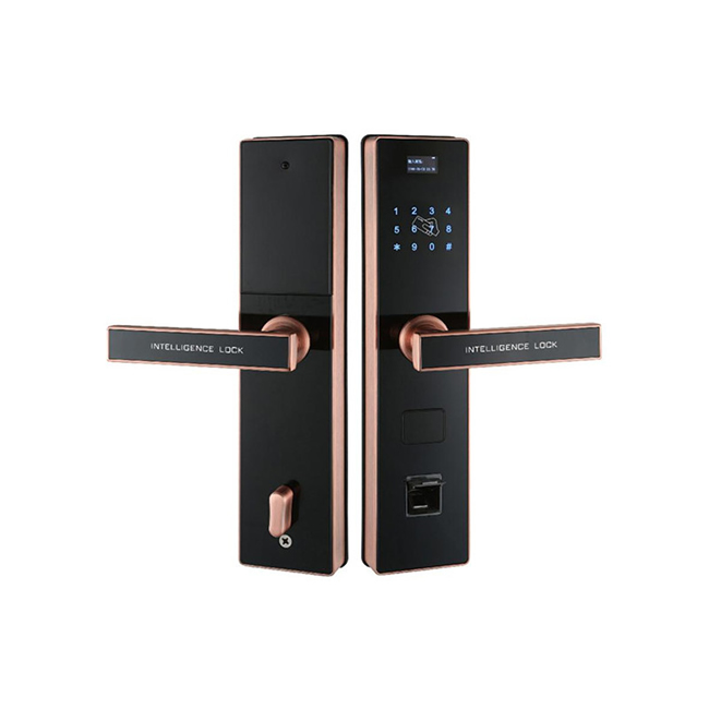 榮龍智能鎖 時尚直板智能鎖