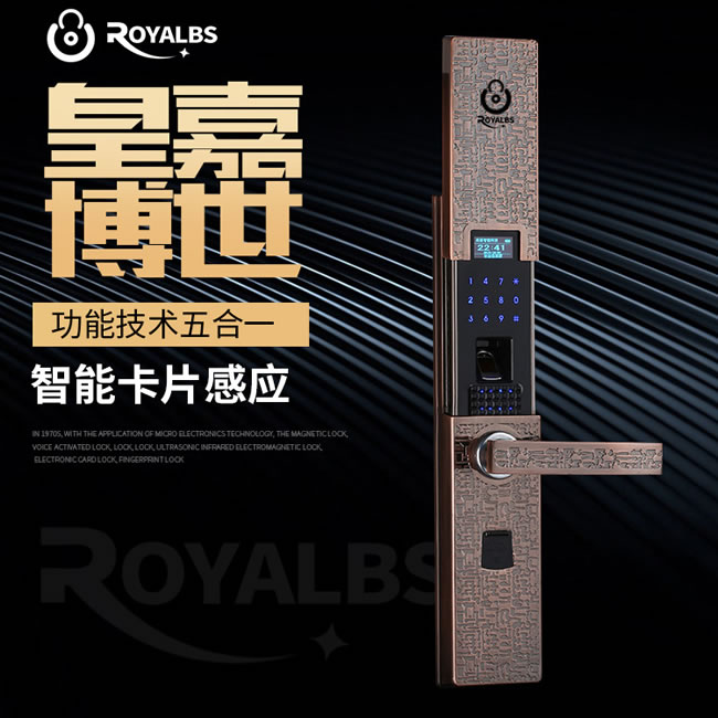 皇嘉博世智能鎖 家用防盜門智能鎖