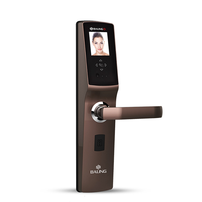 霸菱智能鎖 ET-31人臉識(shí)別智能密碼鎖