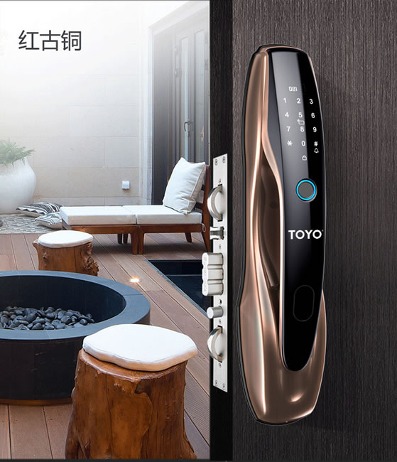 TOYO智能指紋鎖E6S家用防盜密碼自動門鎖
