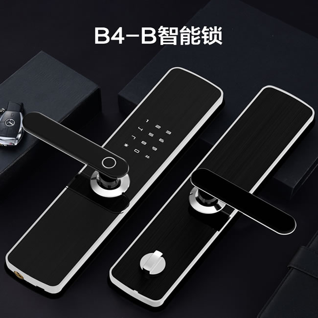 居聯(lián)智能鎖 B4-B游離把手防撬報(bào)警智能鎖