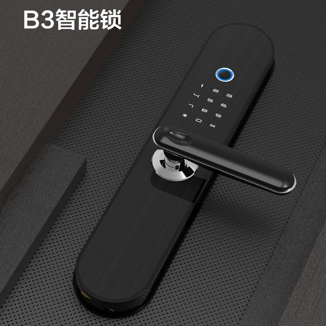 居聯(lián)智能鎖 B3虛位密碼防撬報(bào)警指紋鎖