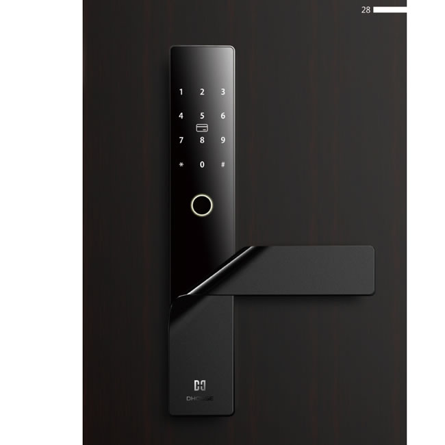 蒂昊斯智能鎖 D02木門家用智能鎖