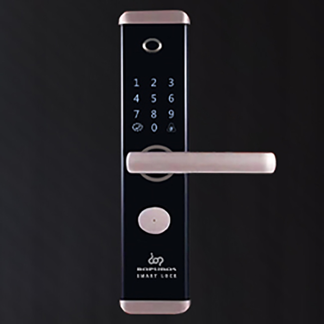 多普奈斯智能鎖 DPS01直板指紋密碼智能鎖