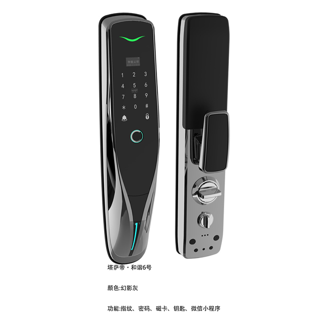 塔薩帝智能鎖 和諧6號家用全自動(dòng)推拉式智能鎖