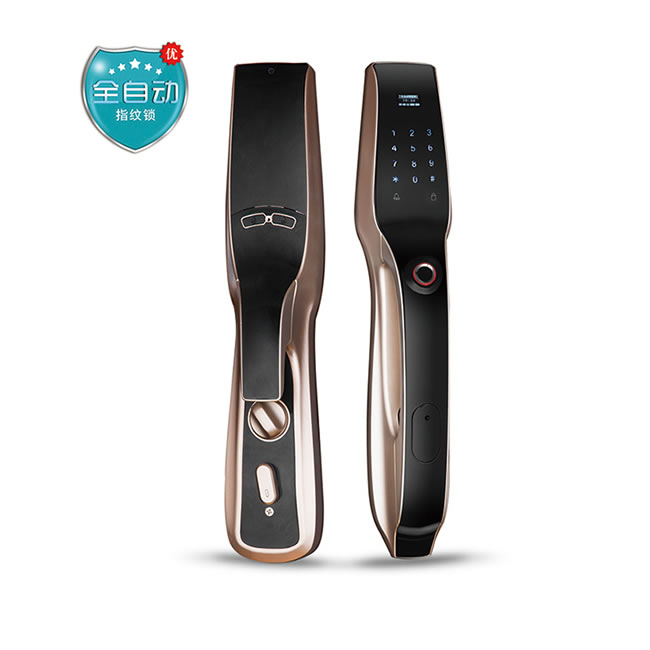 BPE智能鎖 G08全自動(dòng)防盜門(mén)密碼智能鎖