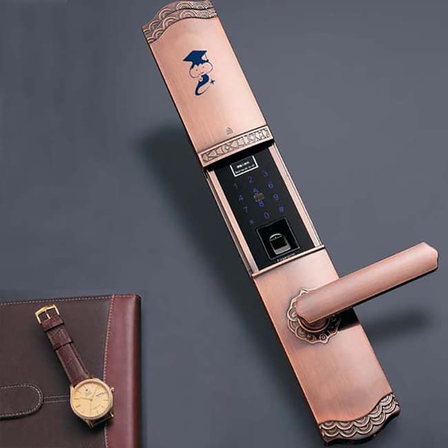 京博士智能鎖 DP-FM09防盜門智能鎖密碼鎖