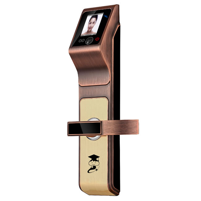 京博士智能鎖 DP-818人臉識(shí)別智能鎖