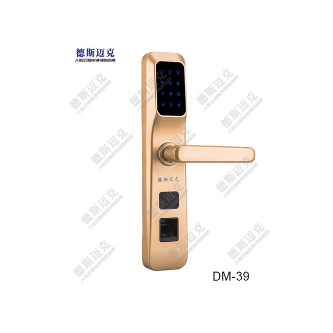 德斯邁克智能鎖 DM39全自動密碼鎖磁卡鎖