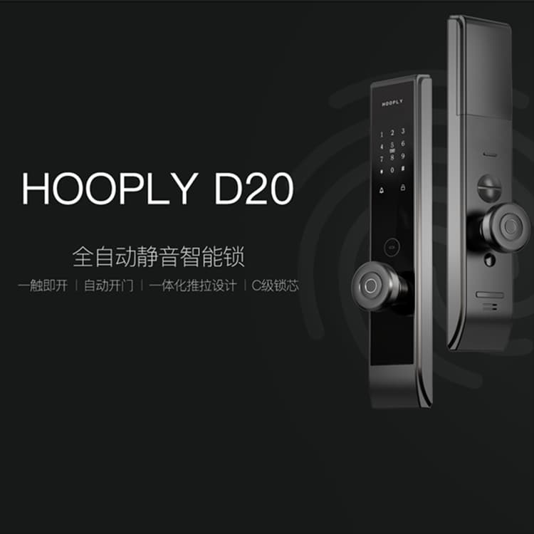 鴻利智能鎖 D20全自動指紋鎖家用防盜門