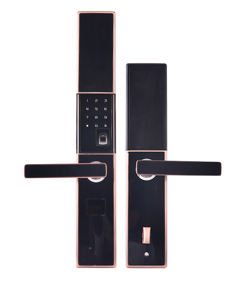 泰勒斯勒智能鎖 A10滑蓋指紋密碼鎖