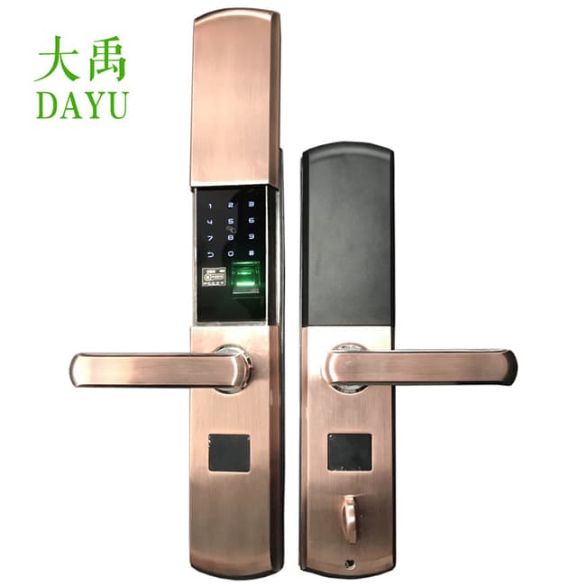 大禹智能鎖 D30電子防盜門(mén)鎖木門(mén)電子鎖