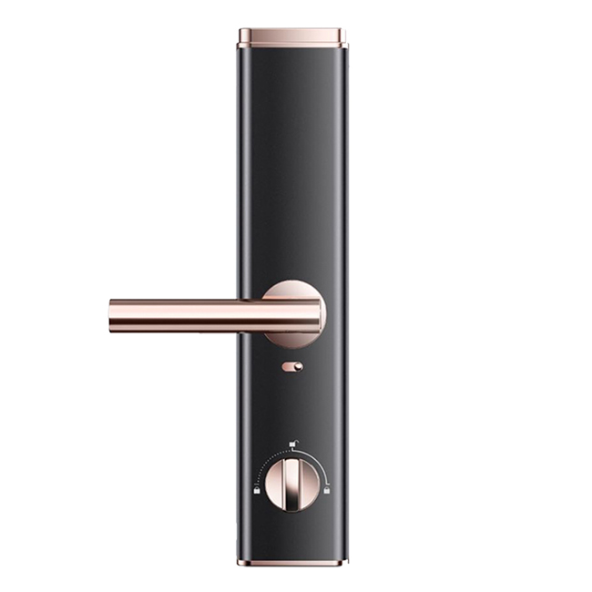 鎖先森安芯伽Q8智能門鎖 IML工藝美弧面板