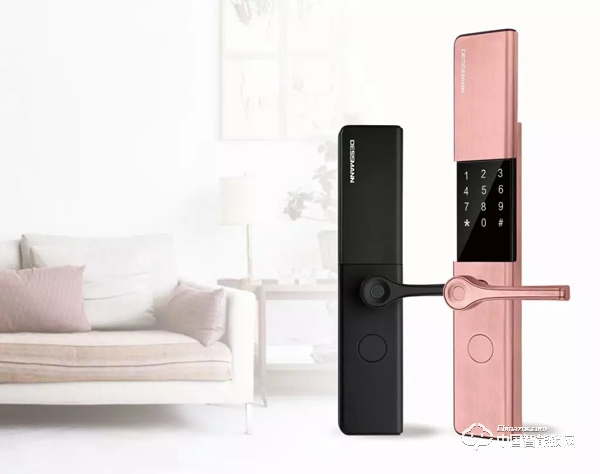 2019德施曼智能鎖AI生活節(jié)暨年度招商大會(huì)