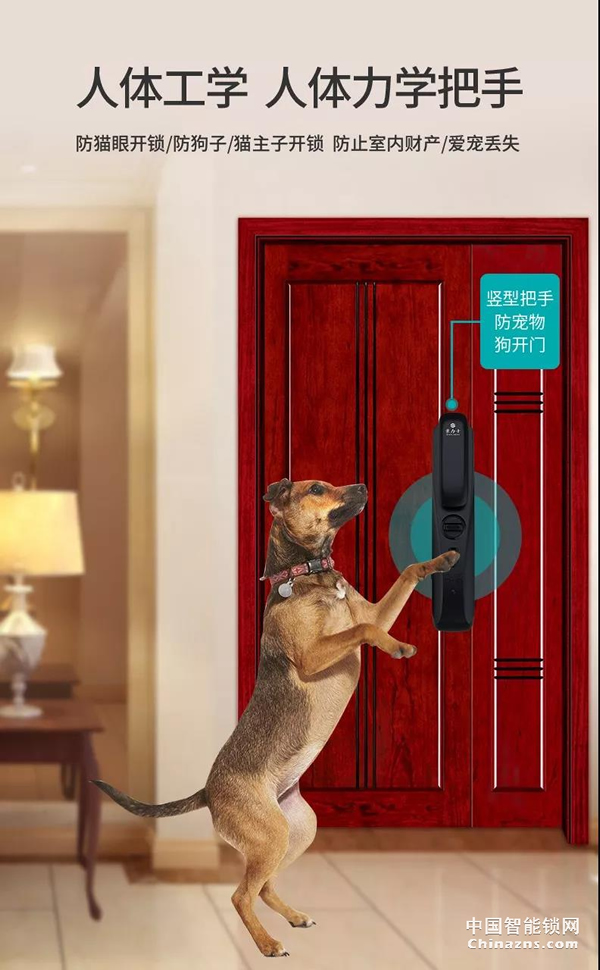 豪力士未來三號震撼上市全球發布 豪力士未來三號震撼上市全球發布