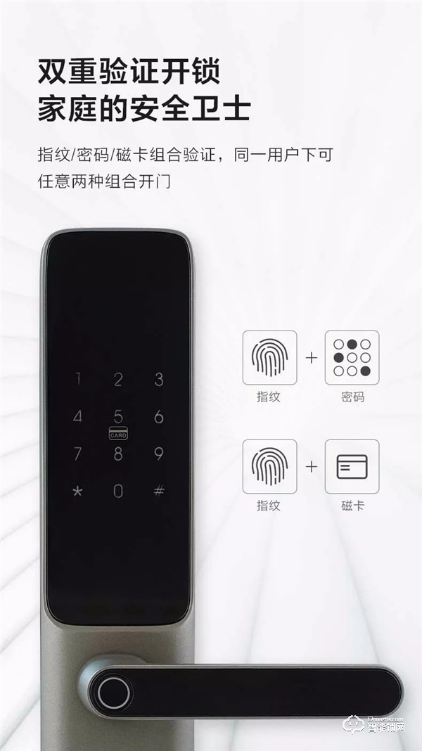 【新品發布】E55B震撼上市 ，即日起預售火熱開啟！