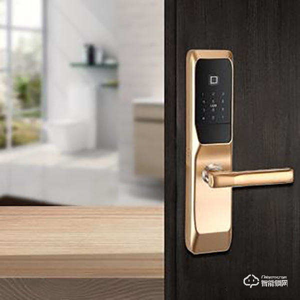 簡(jiǎn)單享智能，讓家更懂您！金蟻豆智能家居新款智能門鎖上市了！