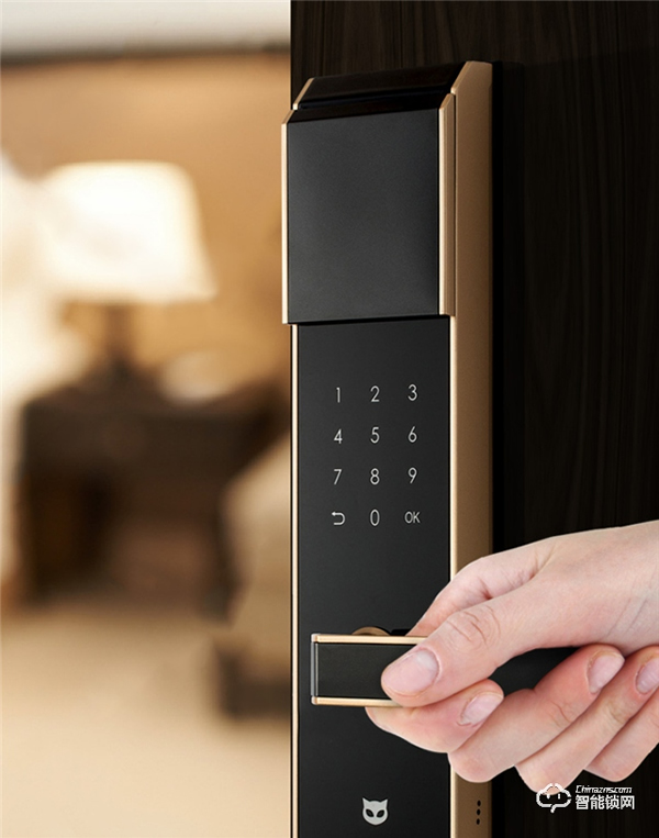 炫光感應，酷炫新品斑點貓智能門鎖Z3上市，開啟智能新生活！