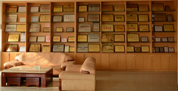 雙11鉅惠，玥瑪智能鎖精品來襲