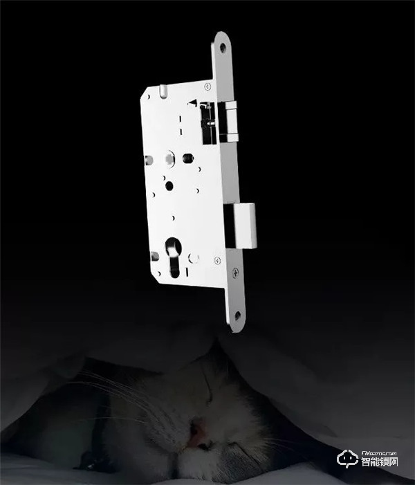 家居界新寵丨室內智能鎖正當紅，將無鑰匙進行到底！