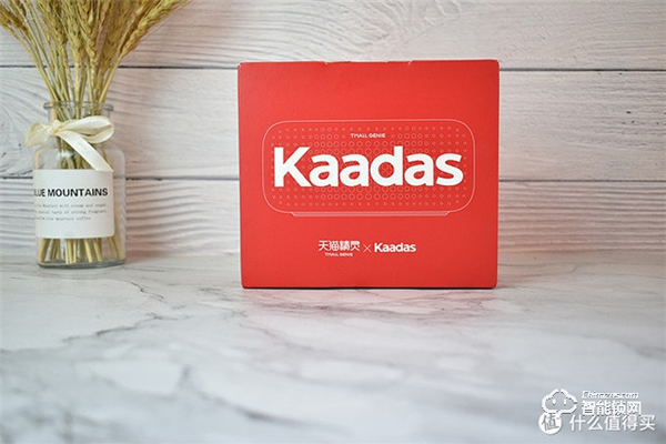 以前沒得選，現在全都要！凱迪仕智能鎖天貓精靈定制款測評