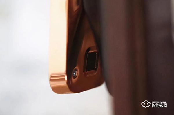 安全等級高，支持人臉識別、假鎖報警，德施曼R8智能鎖評測