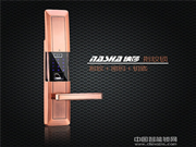 納莎智能鎖多少錢_納莎智能鎖保養(yǎng)技巧