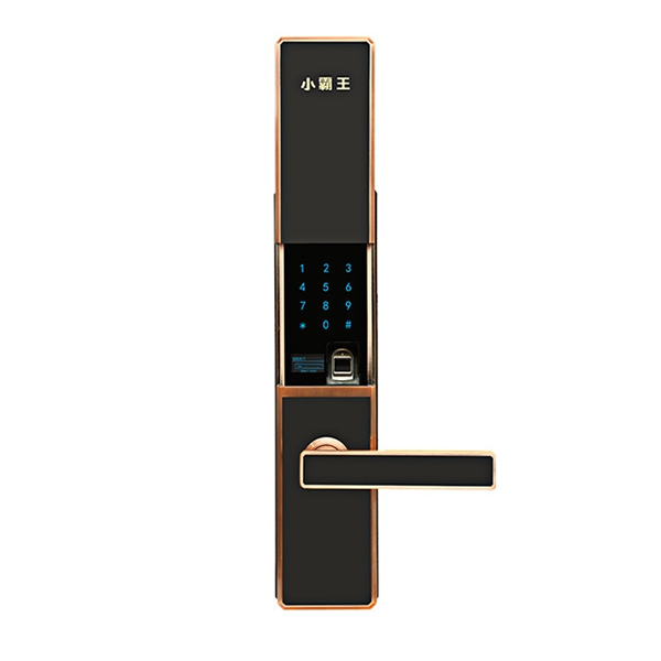 小霸王智能鎖多少錢_選購智能鎖注意事項 小霸王智能鎖多少錢_選購智能鎖注意事項