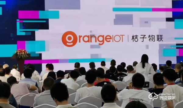實力顏值雙開花！桔子物聯智能鎖斬獲“葵花獎”兩項大獎！