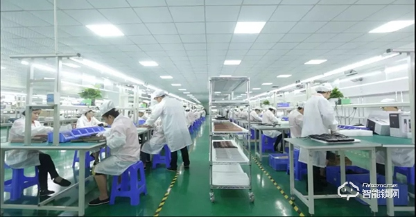 從生產到包裝，皇家金盾為何受到人們青睞