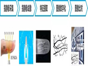 什么是指靜脈識別技術?