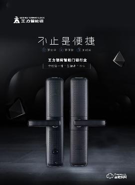 誰是銷量冠軍?王力智能鎖銷量攀越109座珠穆朗瑪峰 誰是銷量冠軍?王力智能鎖銷量攀越109座珠穆朗瑪峰