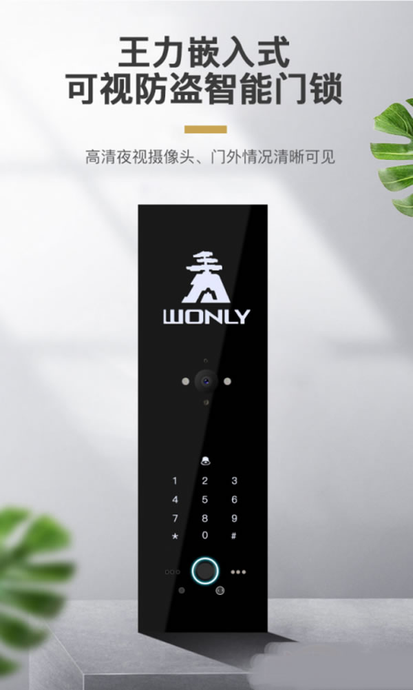 王力智能門鎖多渠道聚力爆發,銷量領跑行業 王力智能門鎖多渠道聚力爆發,銷量領跑行業