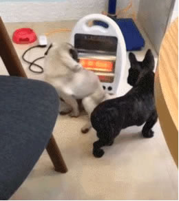 飛利浦智能鎖,讓你溫暖過(guò)冬 飛利浦智能鎖,讓你溫暖過(guò)冬