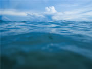 王力智能鎖口碑怎么樣?